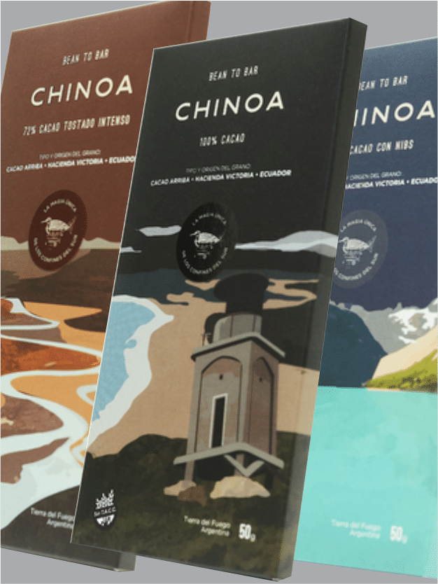 TDF INNOVA 2021 – Chinoa 1