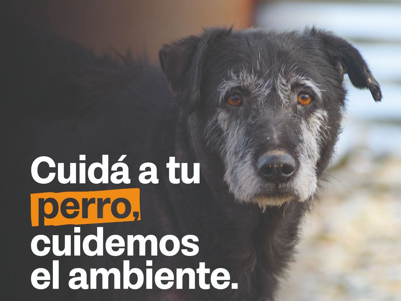 WhatsApp Image 2025-11-06 at 13.13.11