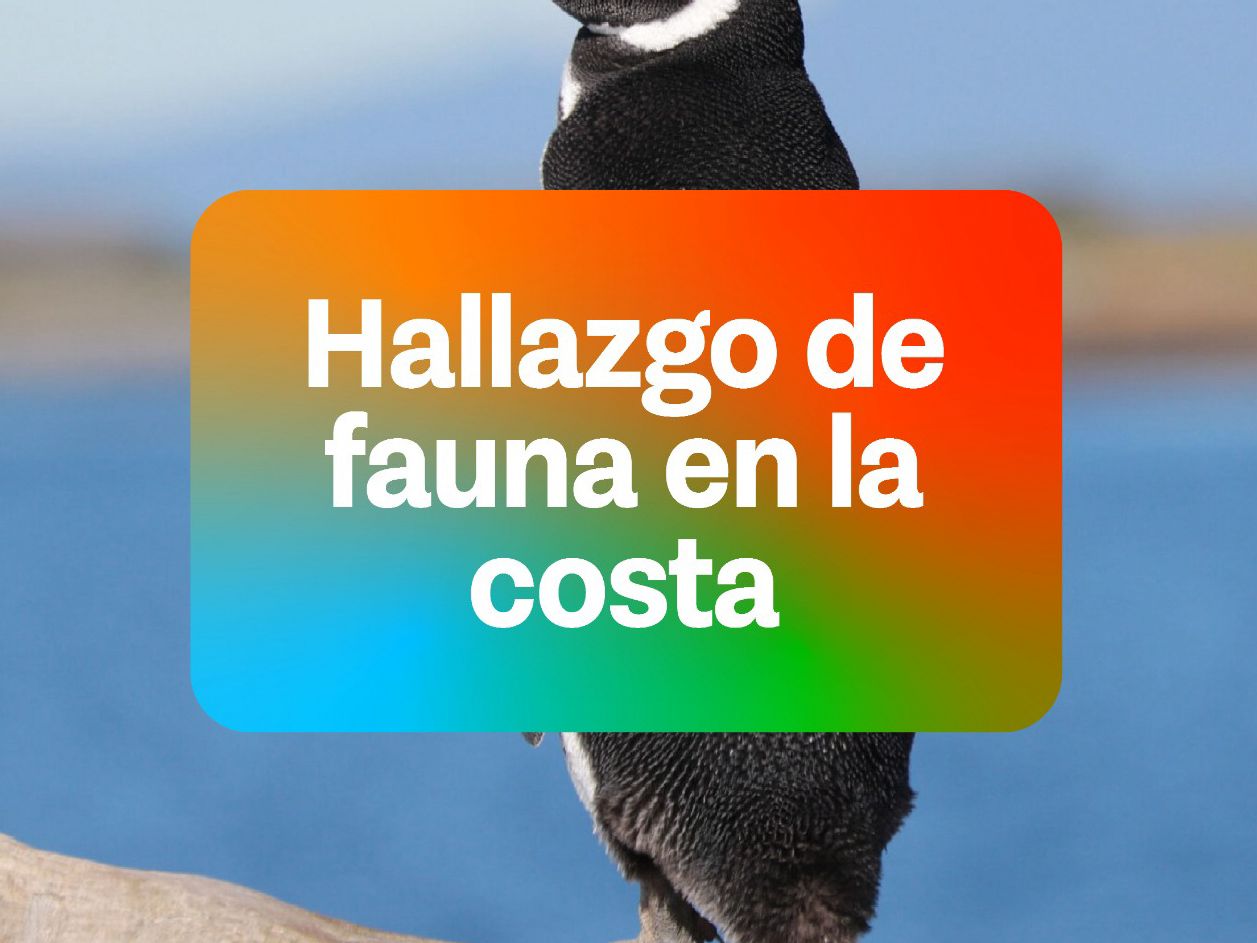 WhatsApp Image 2025-11-07 at 14.15.05