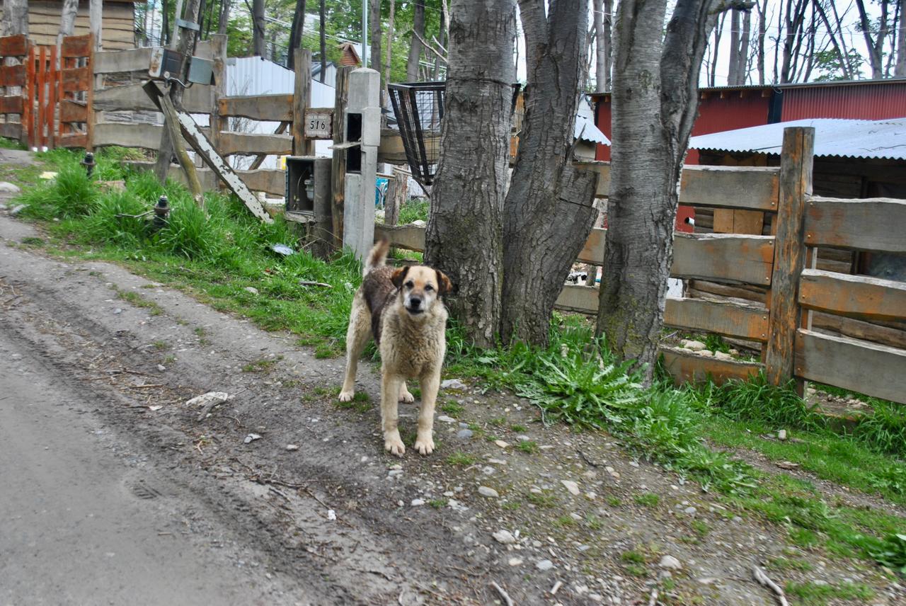 WhatsApp Image 2025-11-10 at 11.52.20