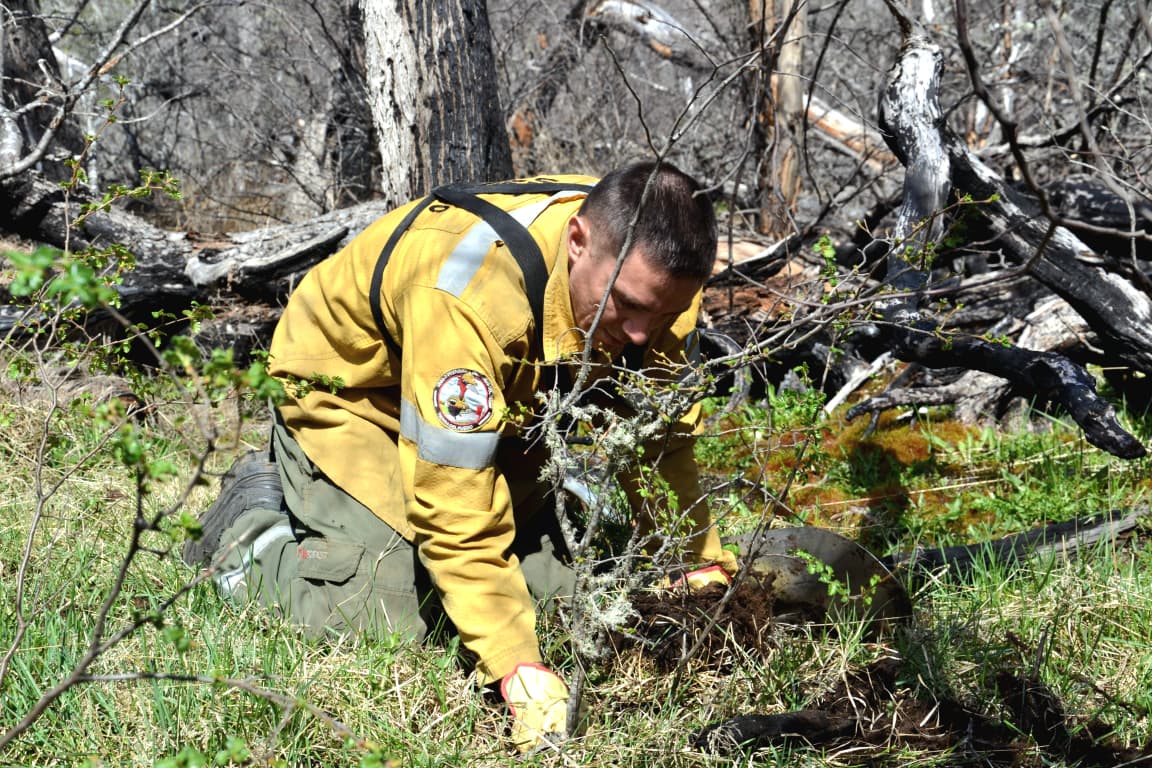 WhatsApp Image 2025-11-10 at 12.24.25 (1)