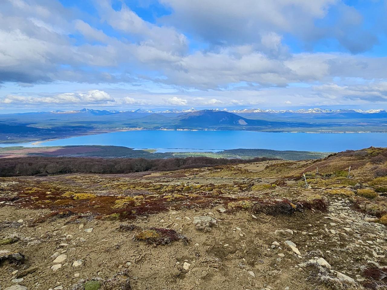 WhatsApp Image 2026-01-07 at 13.40.24