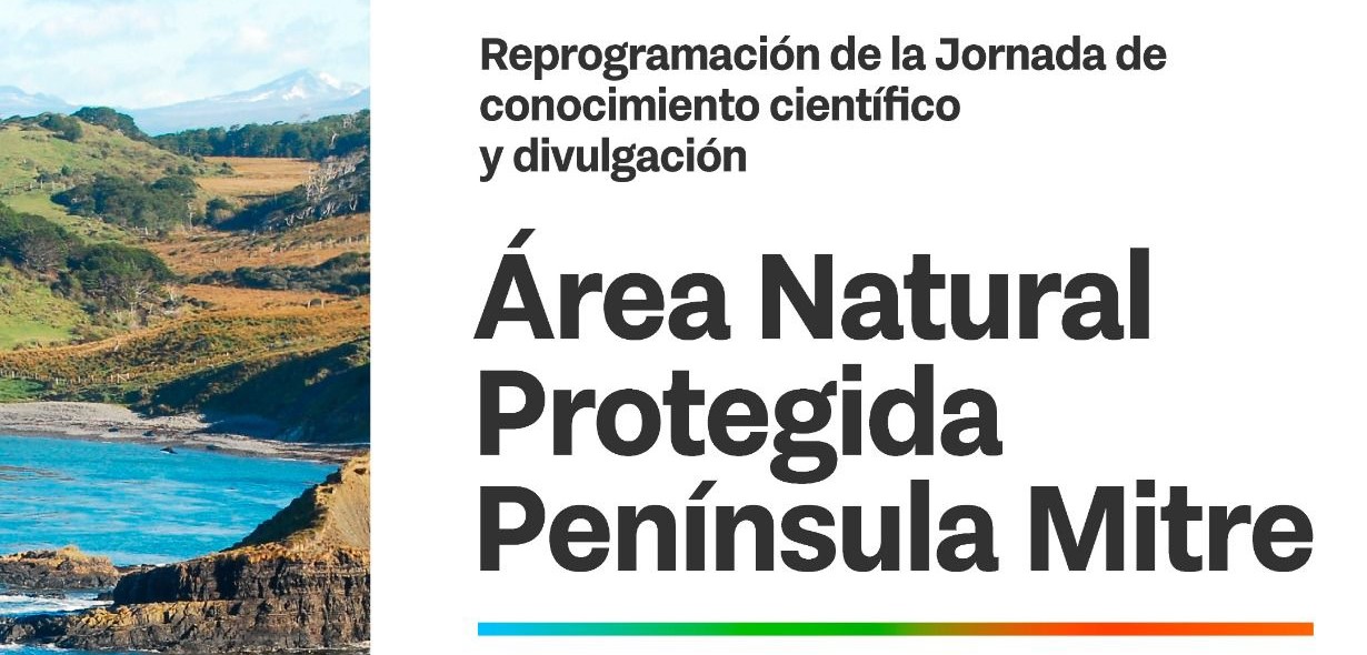 WhatsApp Image 2026-01-13 at 15.09.59 – copia